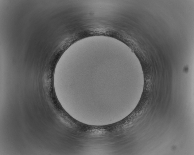 X0000116420642201001191451