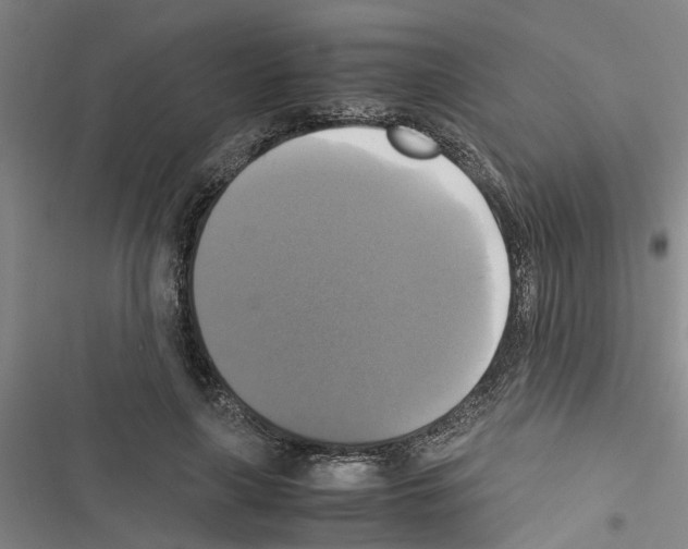 X0000116420643201001191451