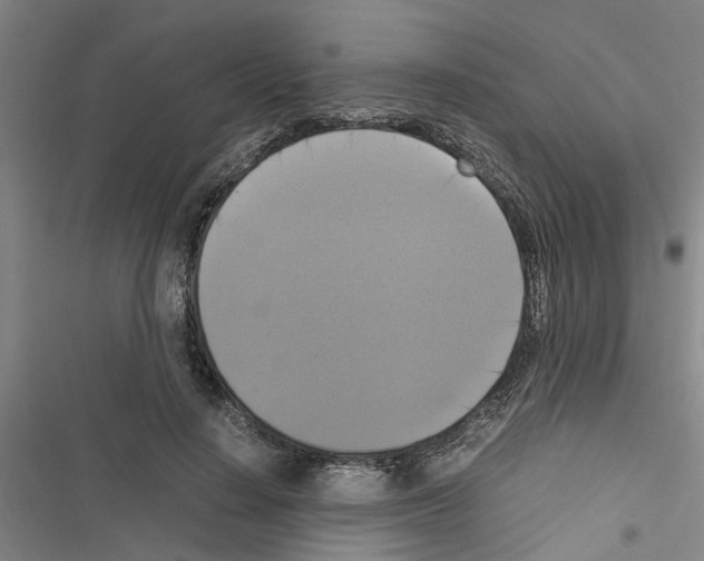 X0000116420644201001191451