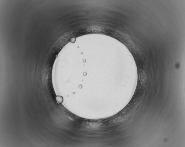 X0000116420645201001191451