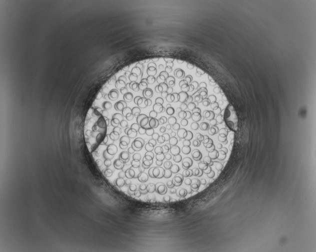 X0000116420646201001191451