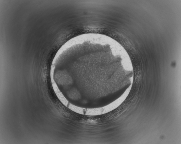 X0000116420647201001191451