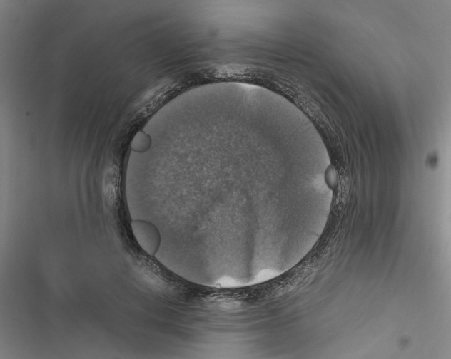 X0000116420648201001191451