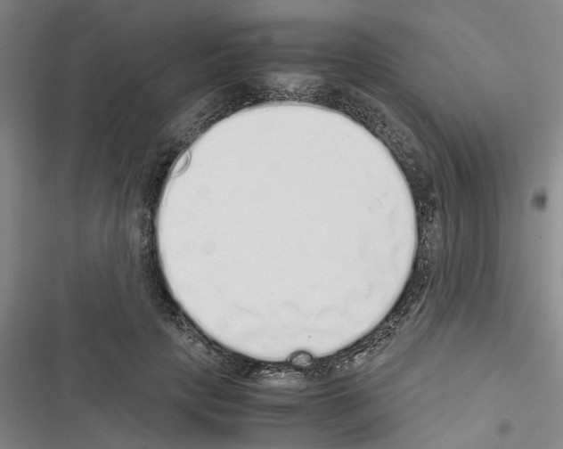 X0000116420649201001191451