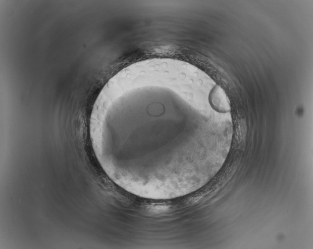 X0000116420651201001191451