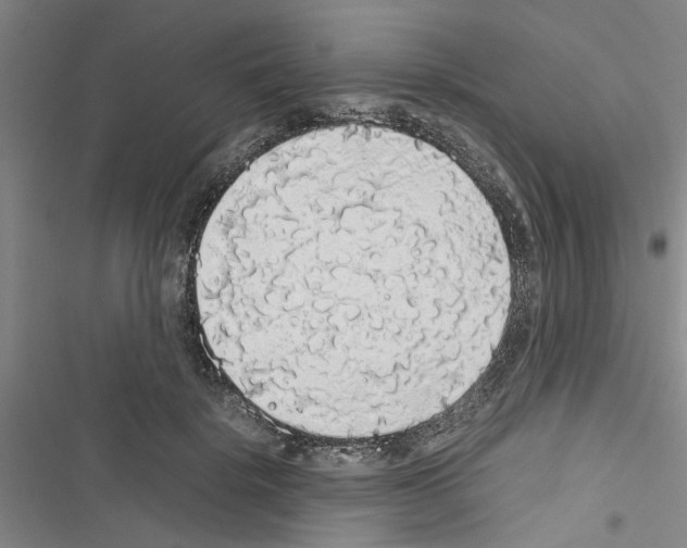 X0000116420652201001191451