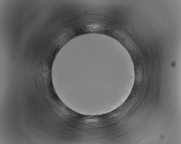 X0000116420653201001191451