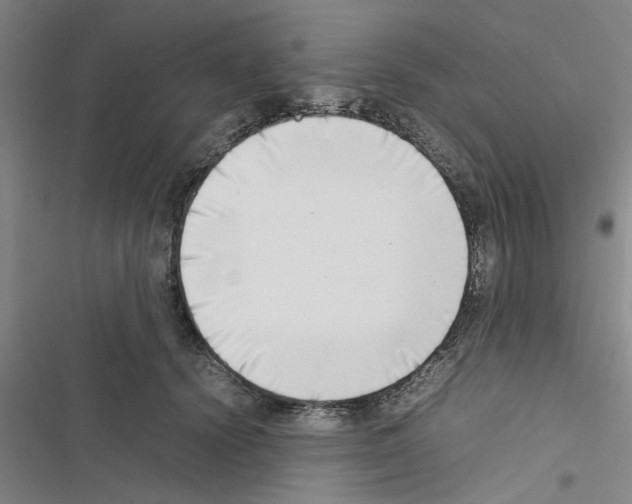X0000116420656201001191451