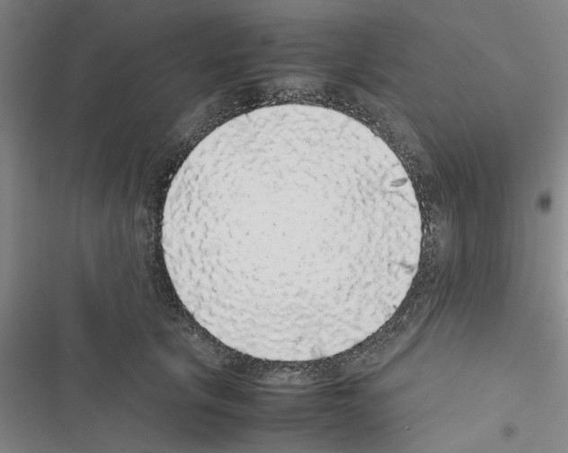 X0000116420657201001191451