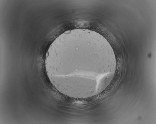 X0000116420659201001191451