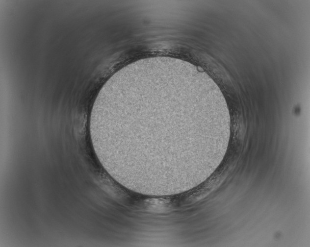 X0000116420660201001191451