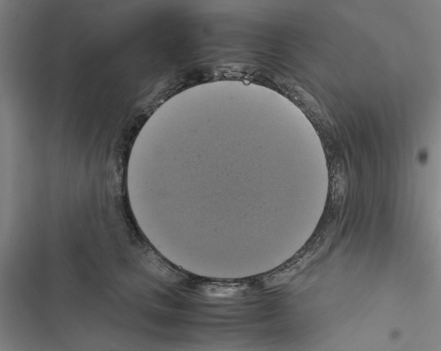X0000116420661201001191451