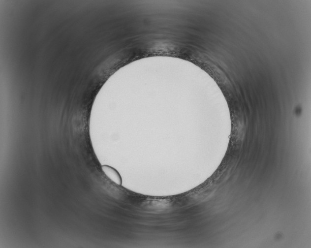 X0000116420665201001191451
