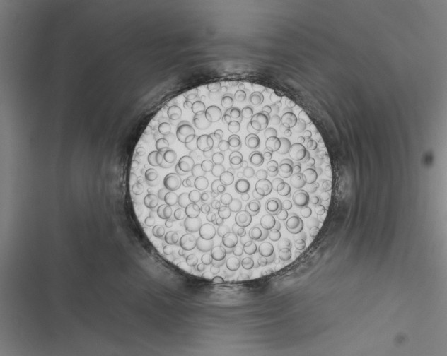 X0000116420666201001191451