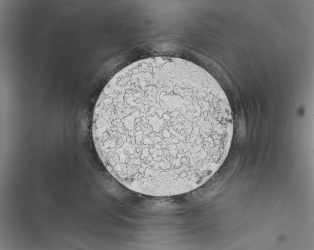 X0000116420668201001191451