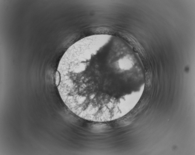 X0000116420669201001191451