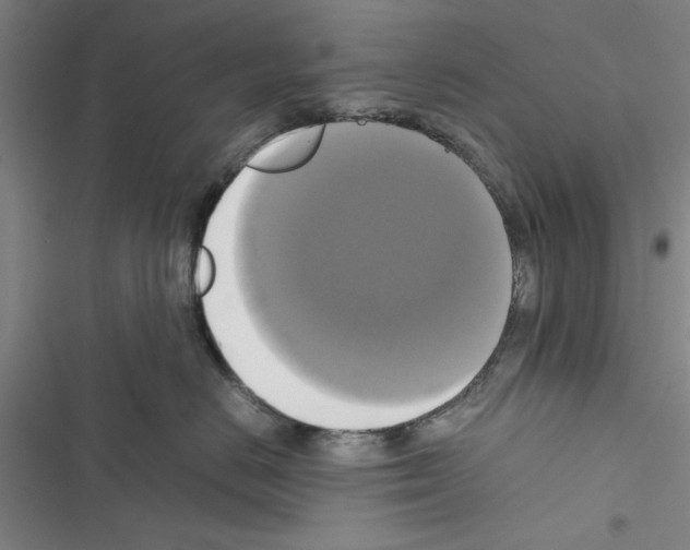 X0000116420670201001191451
