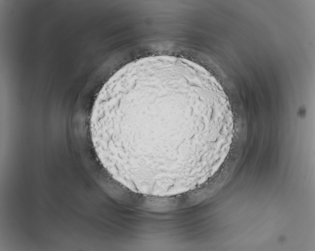 X0000116420671201001191451