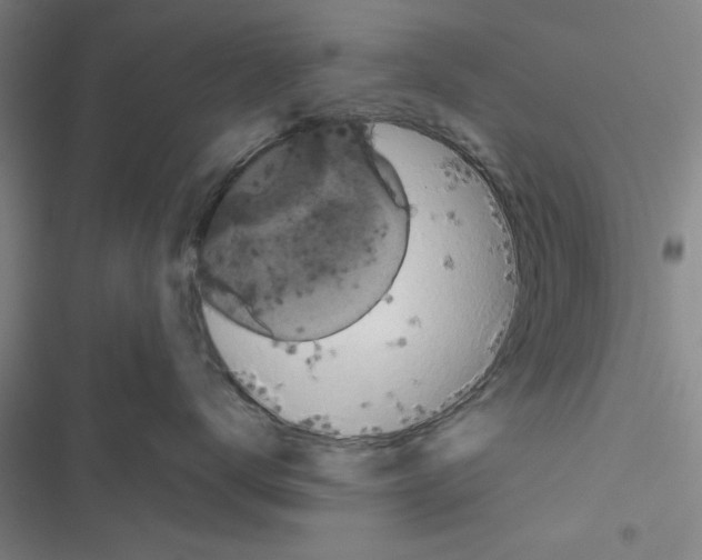 X0000116420672201001191451