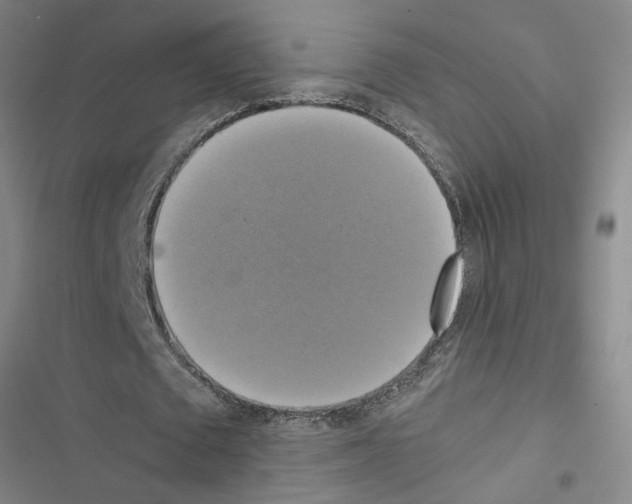 X0000116420673201001191450