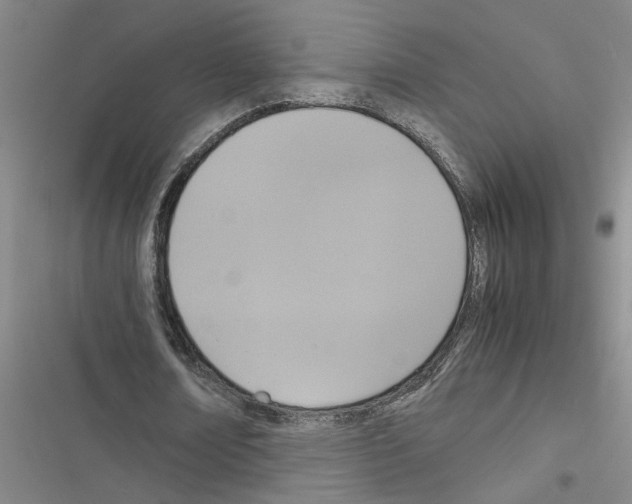 X0000116420674201001191450
