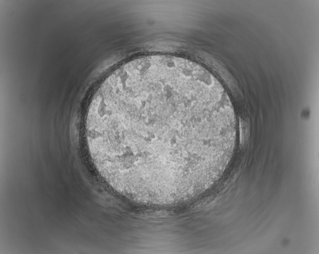 X0000116420675201001191450