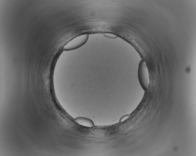 X0000116420677201001191450