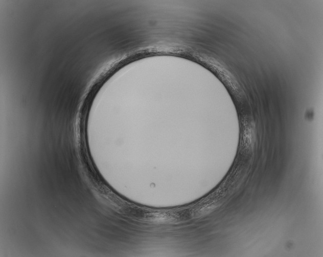 X0000116420678201001191450