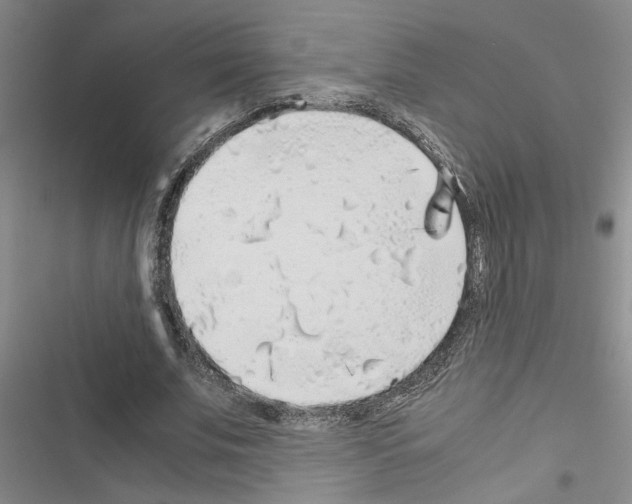 X0000116420679201001191450