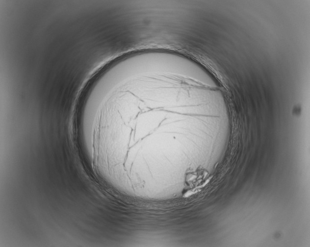 X0000116420680201001191450