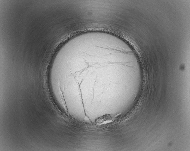 X0000116420681201001191450