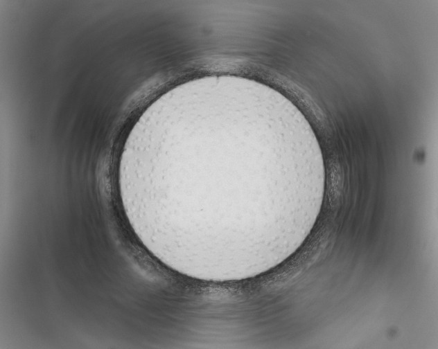 X0000116420682201001191450
