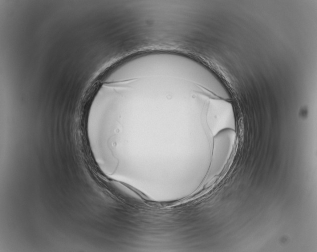 X0000116420684201001191450