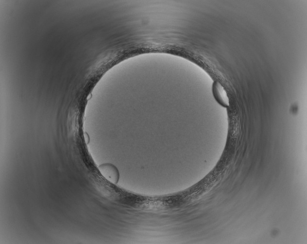 X0000116420685201001191450