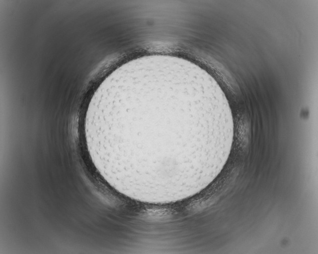 X0000116420686201001191450