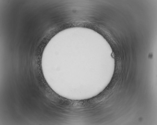 X0000116420687201001191450