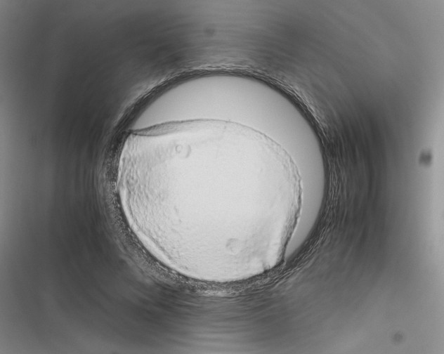 X0000116420688201001191450