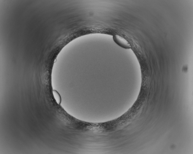 X0000116420689201001191450