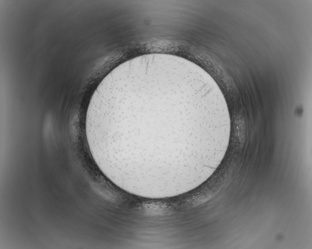 X0000116420690201001191450