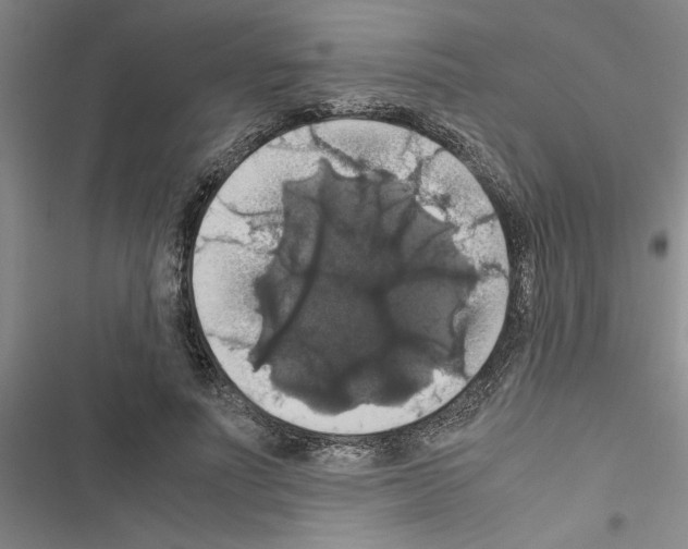 X0000116420691201001191450