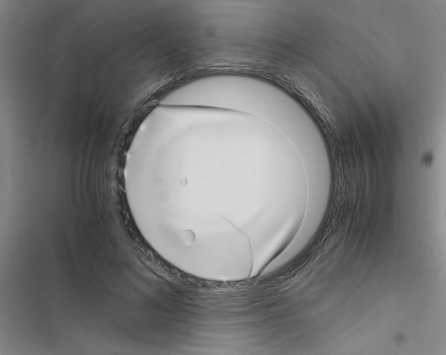 X0000116420692201001191450