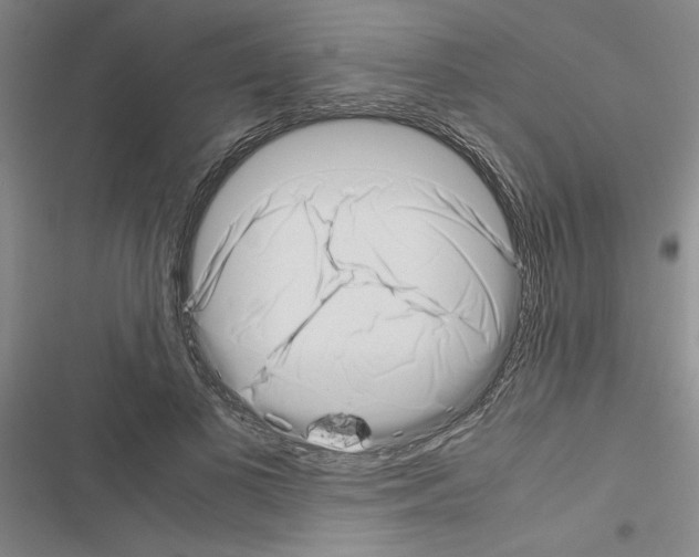 X0000116420693201001191450