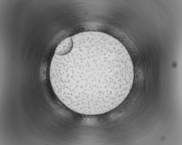 X0000116420694201001191450