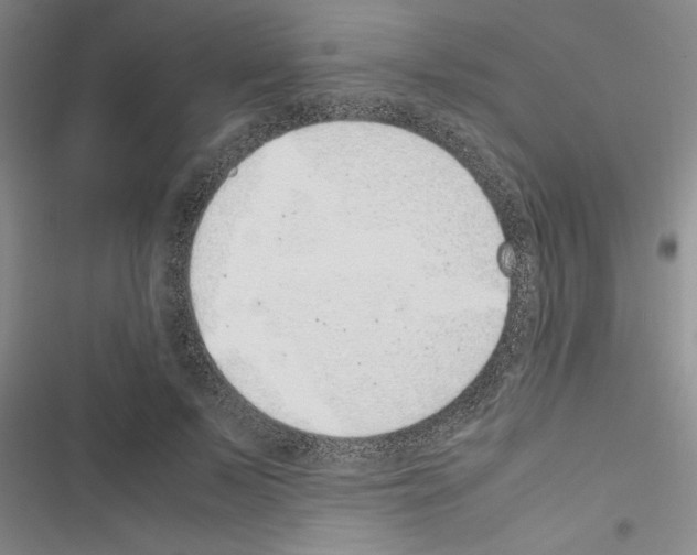 X0000116420695201001191450