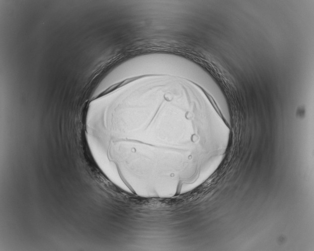 X0000116420696201001191450