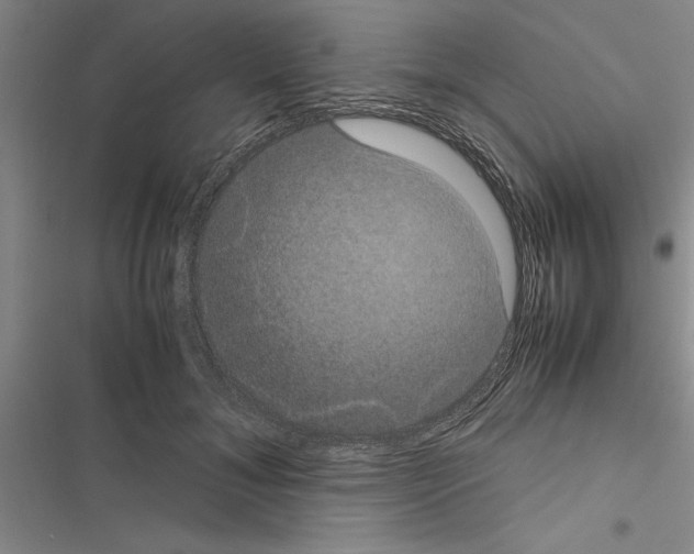 X0000116420700201001191450