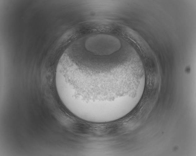 X0000116420701201001191450