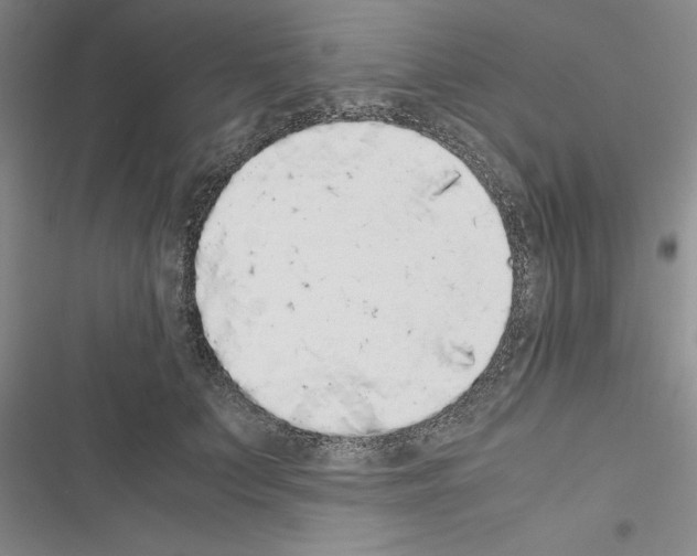 X0000116420703201001191450