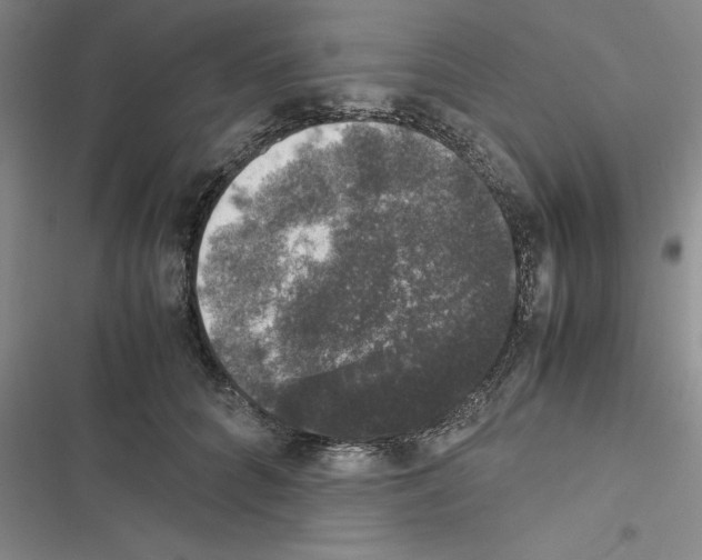 X0000116420704201001191450