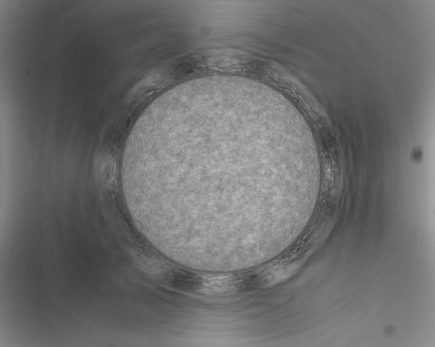 X0000116420705201001191450